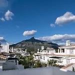 Serinamar- Naranjos De *