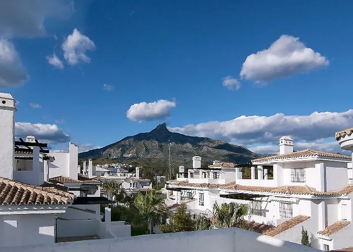 Serinamar- Naranjos De *